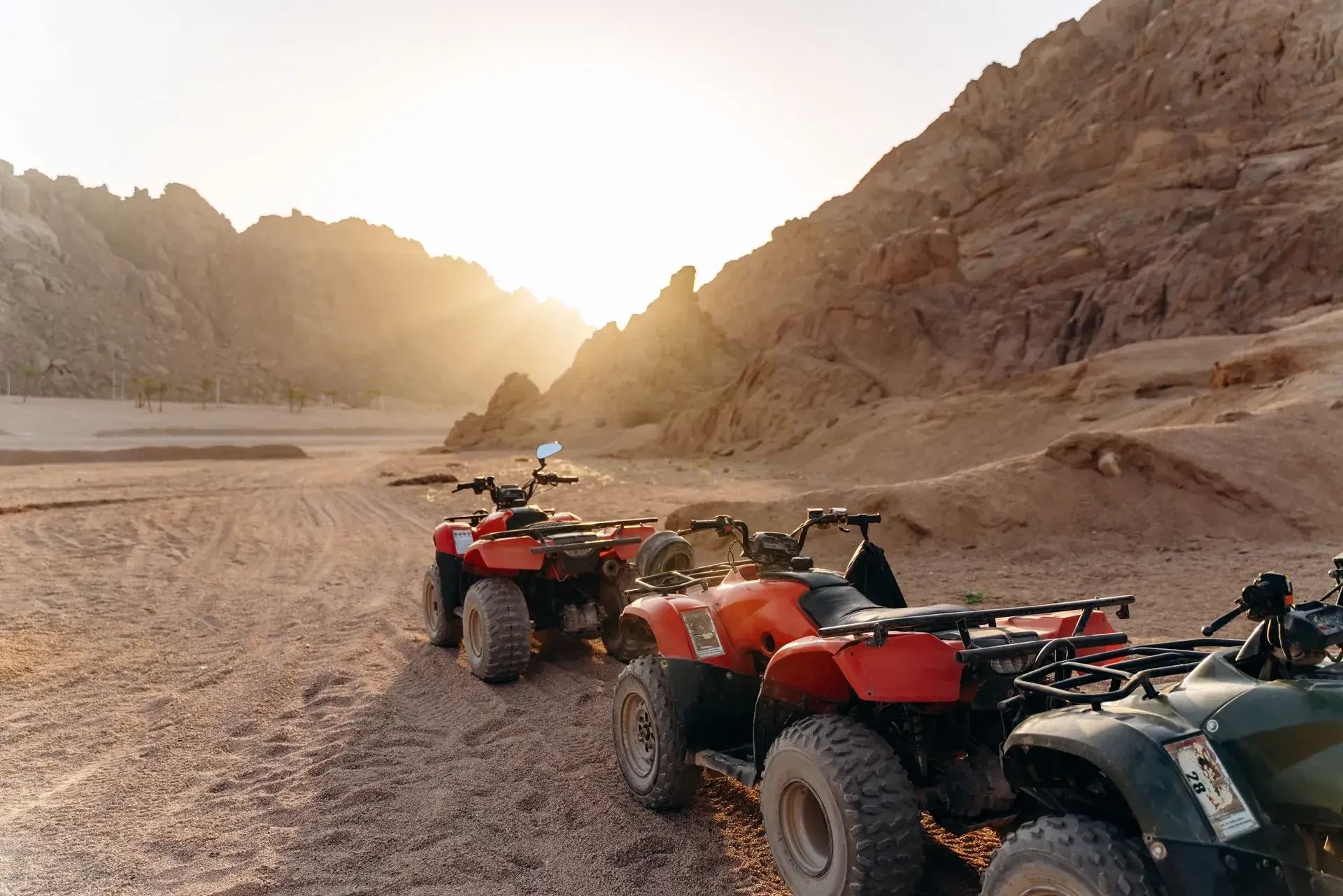 Sinai desert safari with Bedouin dinner