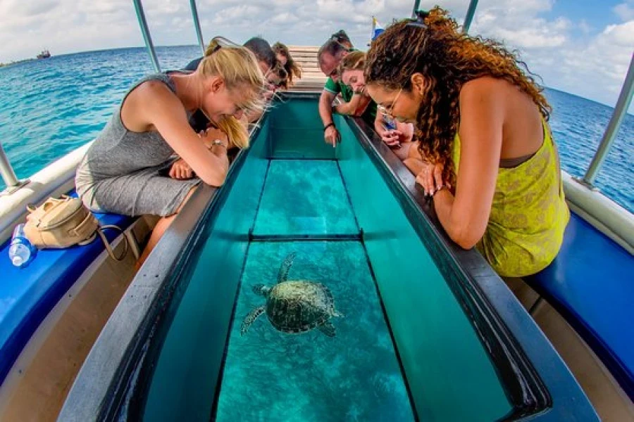 Glass Boat and Quad Bike Excursion
