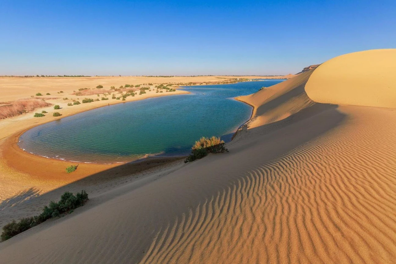 El Fayoum and Wadi El Rayan from Cairo - wadi el rayan