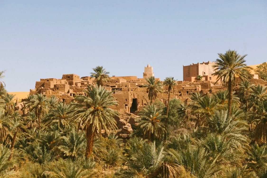 Siwa Oasis Trip from Cairo 4 Days 3 Nights - Siwa Oasis