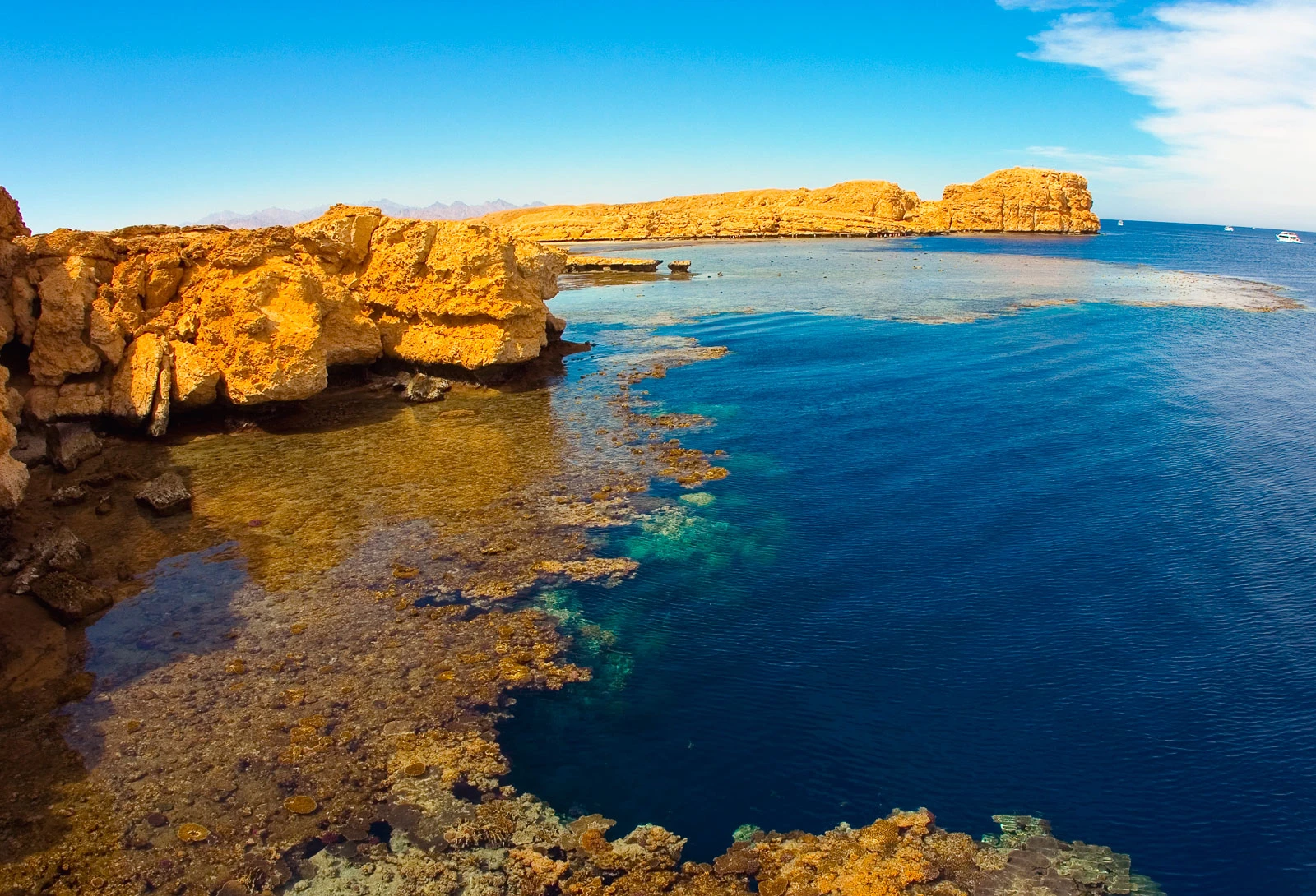 Ras Mohamed by Boat from Sharm El Sheikh Tours - ras mohamed