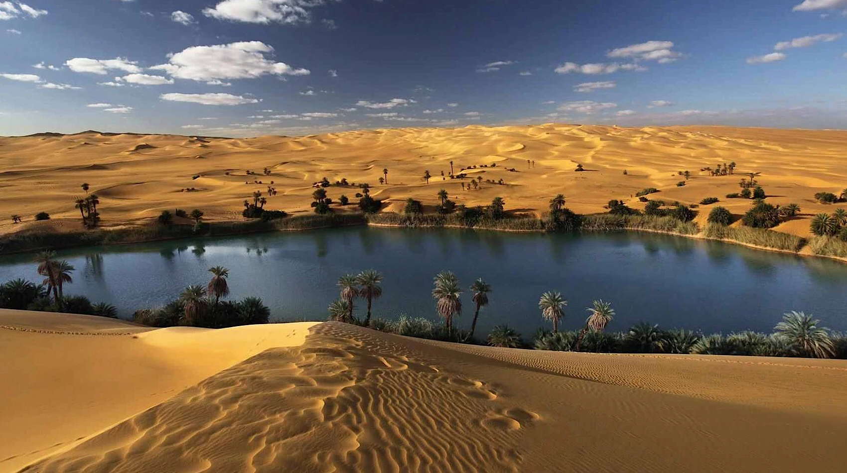 The White Desert and Bahariya Oasis Overnight tour from Cairo - bahariya oasis 1