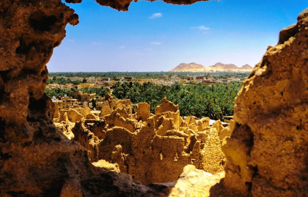 The White Desert and Bahariya Oasis Overnight tour from Cairo - bahariya oasis 3