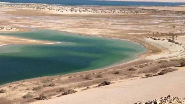 2 Days Wadi El Hitan Camping Tour from Cairo