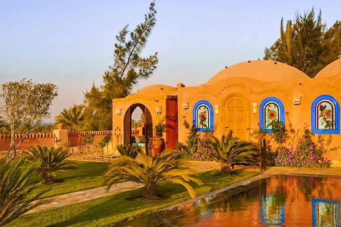 2 Days Wadi El Hitan Camping Tour from Cairo