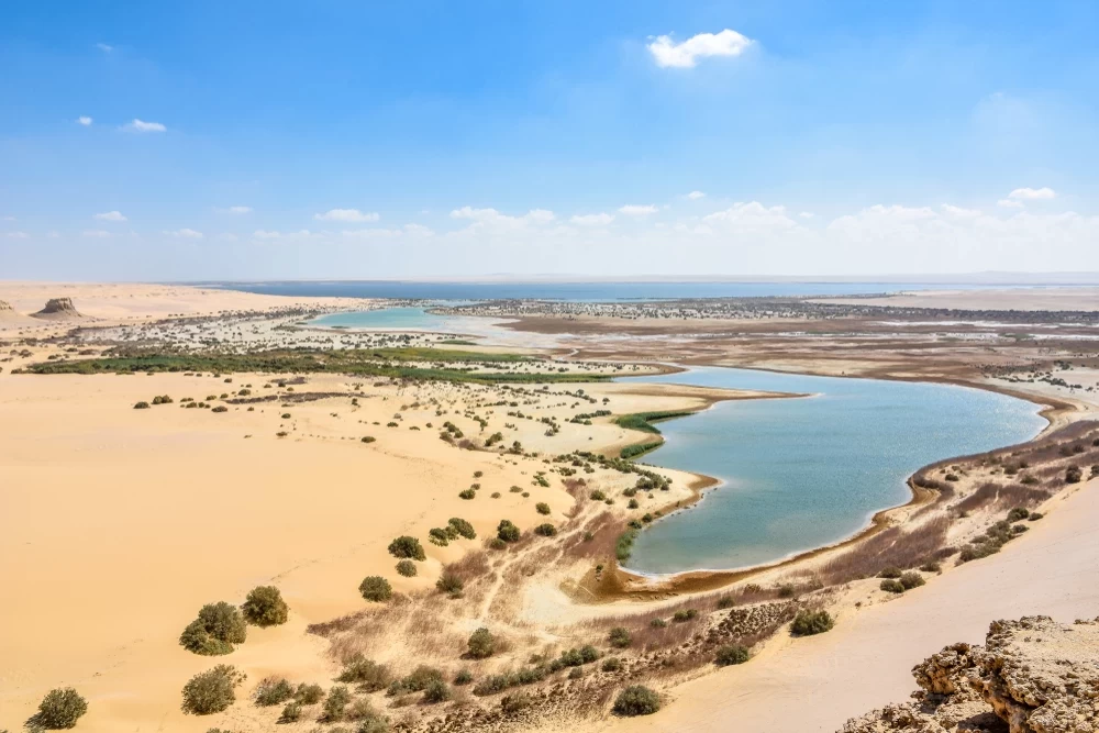 Experience the Beauty of Fayoum in an Unforgettable Overnight Trip from Cairo