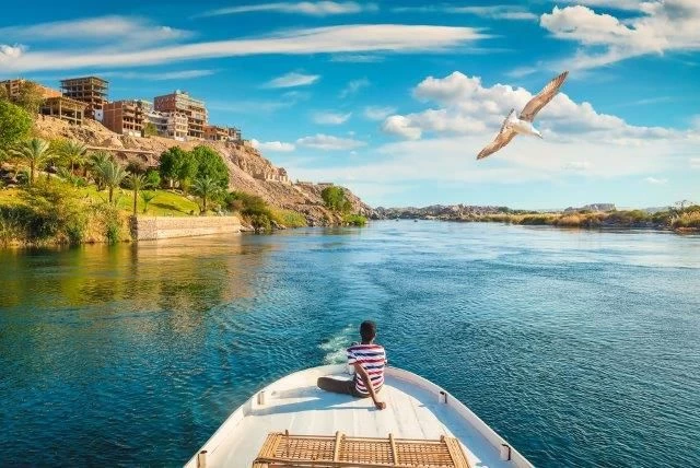 Bird Watching Tour in Aswan