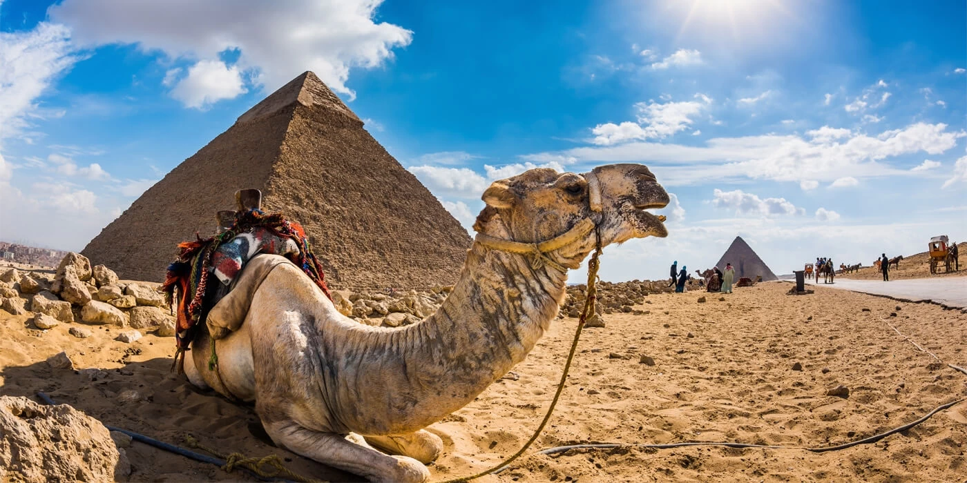 Cairo Full-Day from Aswan & Overnight stay hotel in Cairo