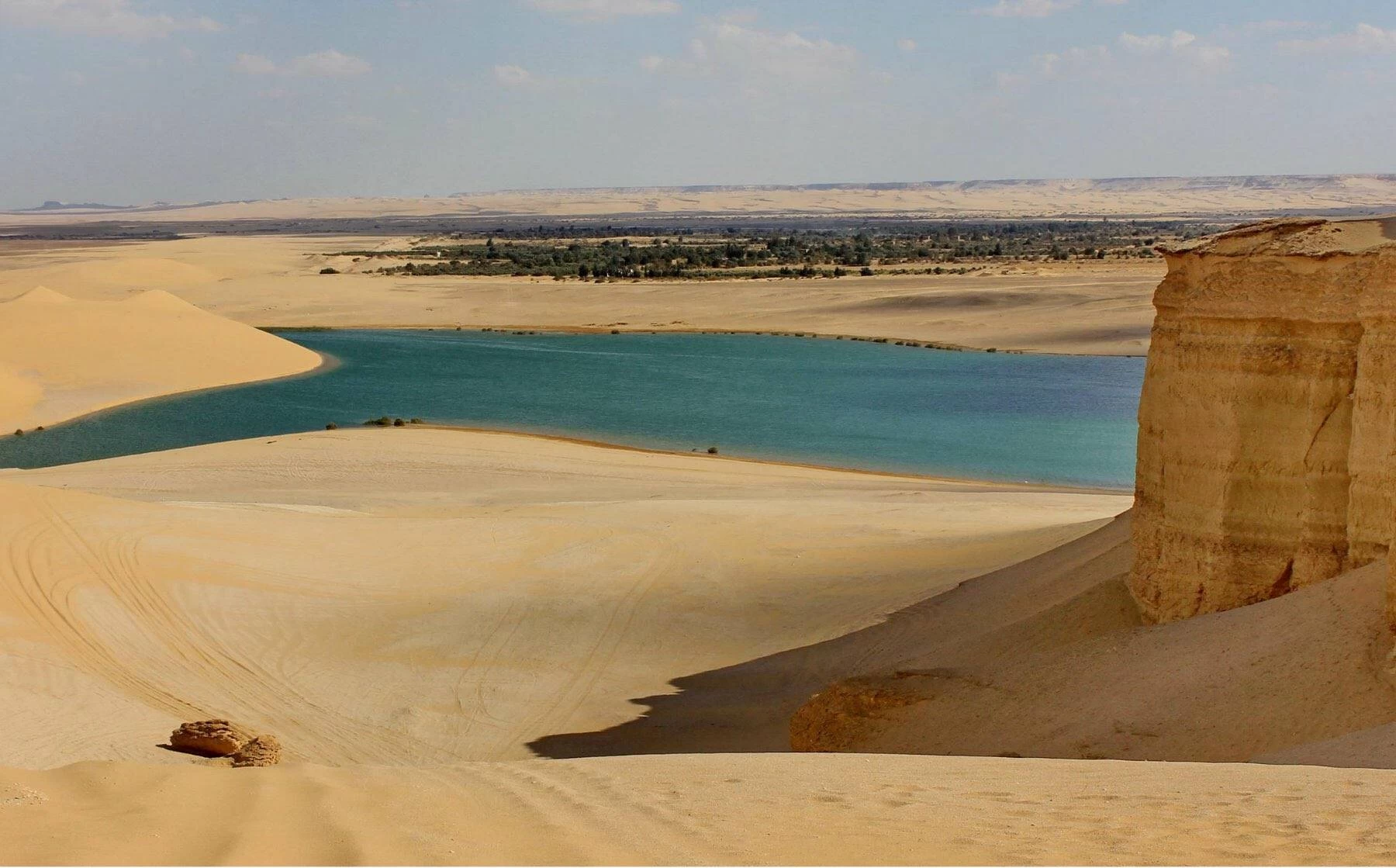 Day Tour to Wadi El Rayan and Whales Valley from Aswan
