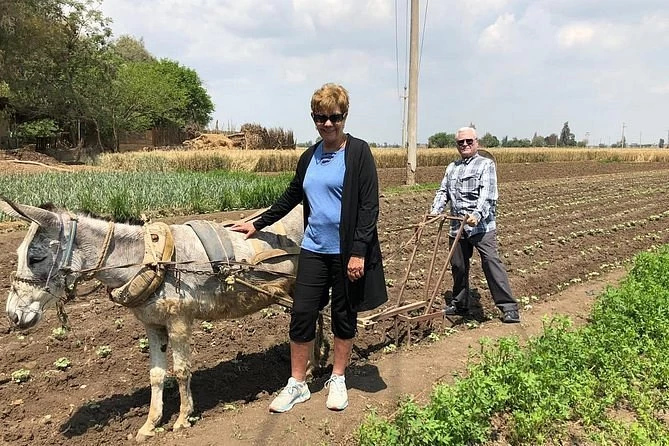 Day tour in Egypt Countryside with Lunch and Donkey Ride