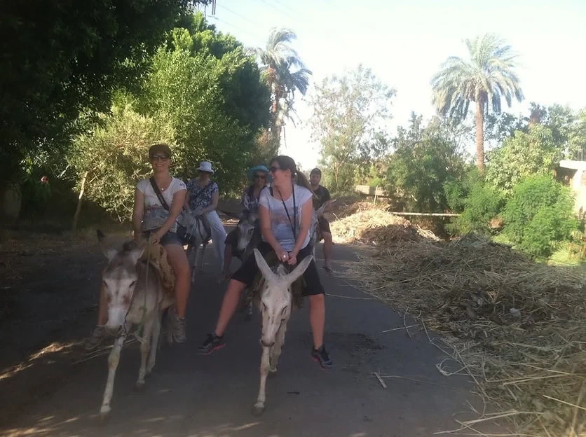 Day tour in Egypt Countryside with Lunch and Donkey Ride