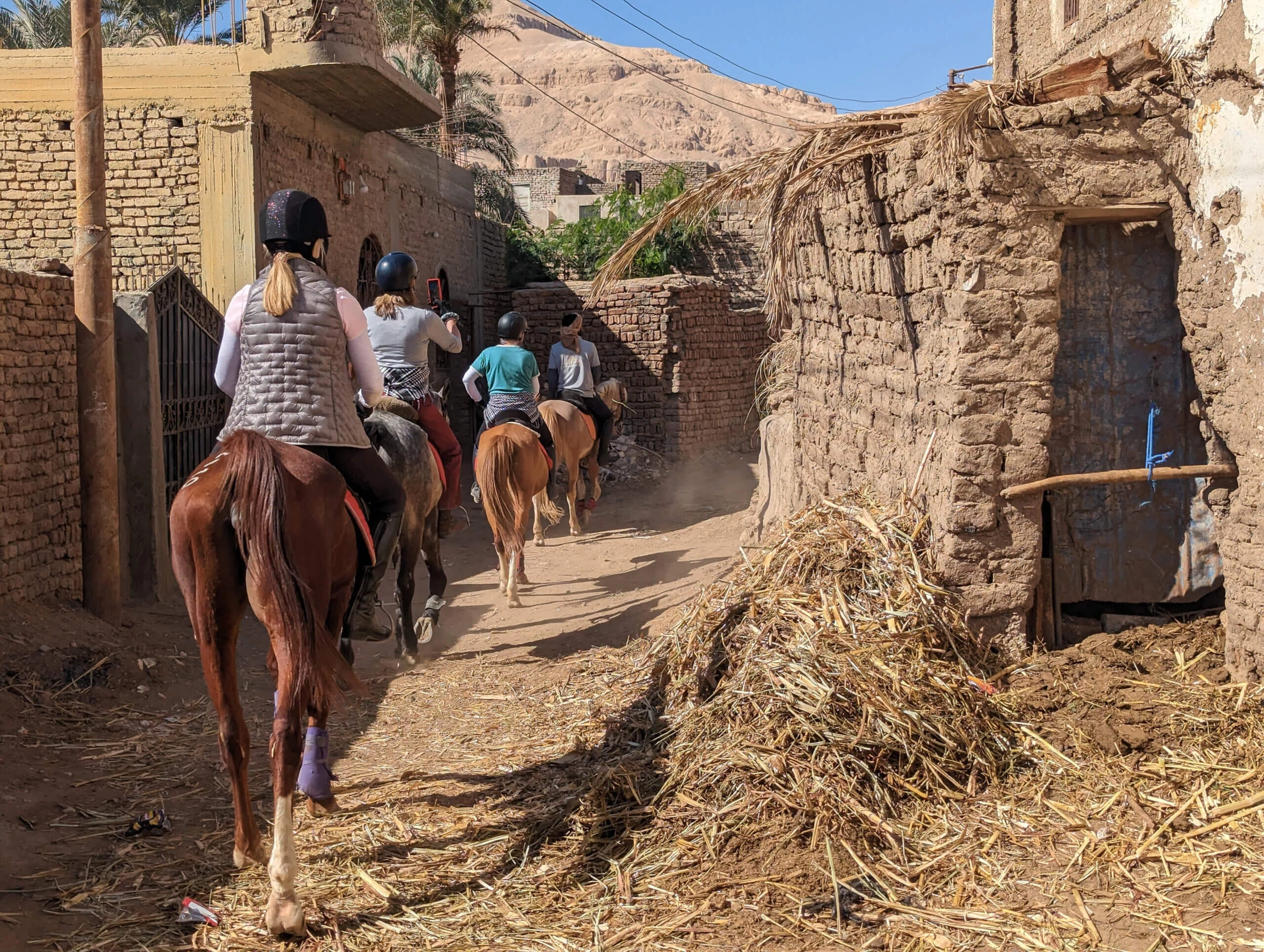 Day tour in Egypt Countryside with Lunch and Donkey Ride