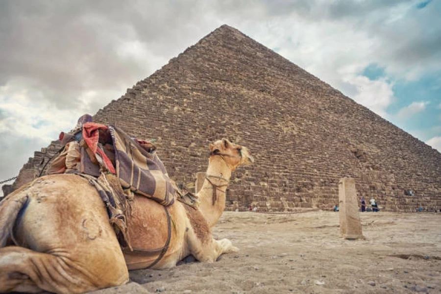 Giza pyramids, Saqqara, and Motor Boat ride from Aswan