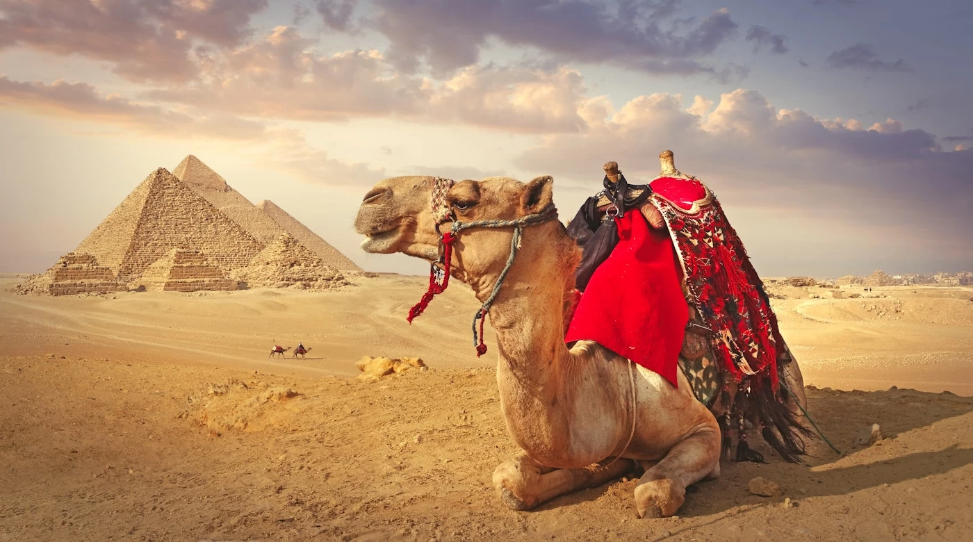 egypt9789
