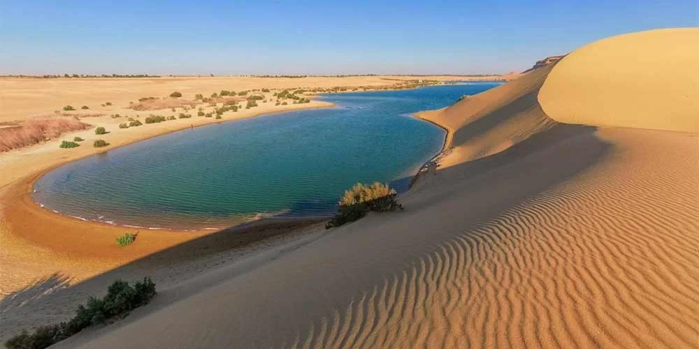 A Private Day Tour Fayoum Oasis and Wadi El Rayan