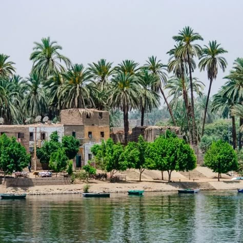 Egyptian Countryside Village Tour from Cairo