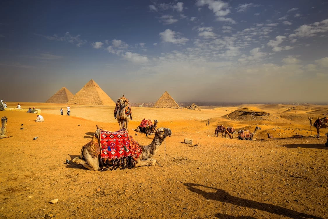 Giza Pyramids Half-Day Tour including Camel Ride