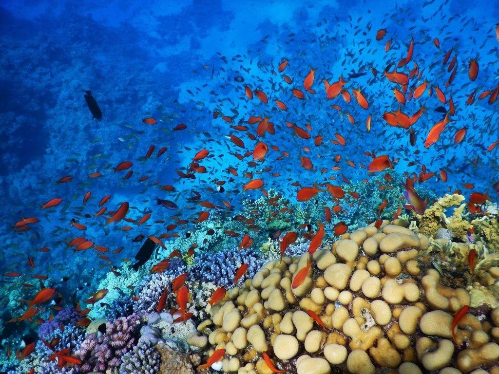Dahab & Blue Hole Snorkeling Day Tour from Cairo