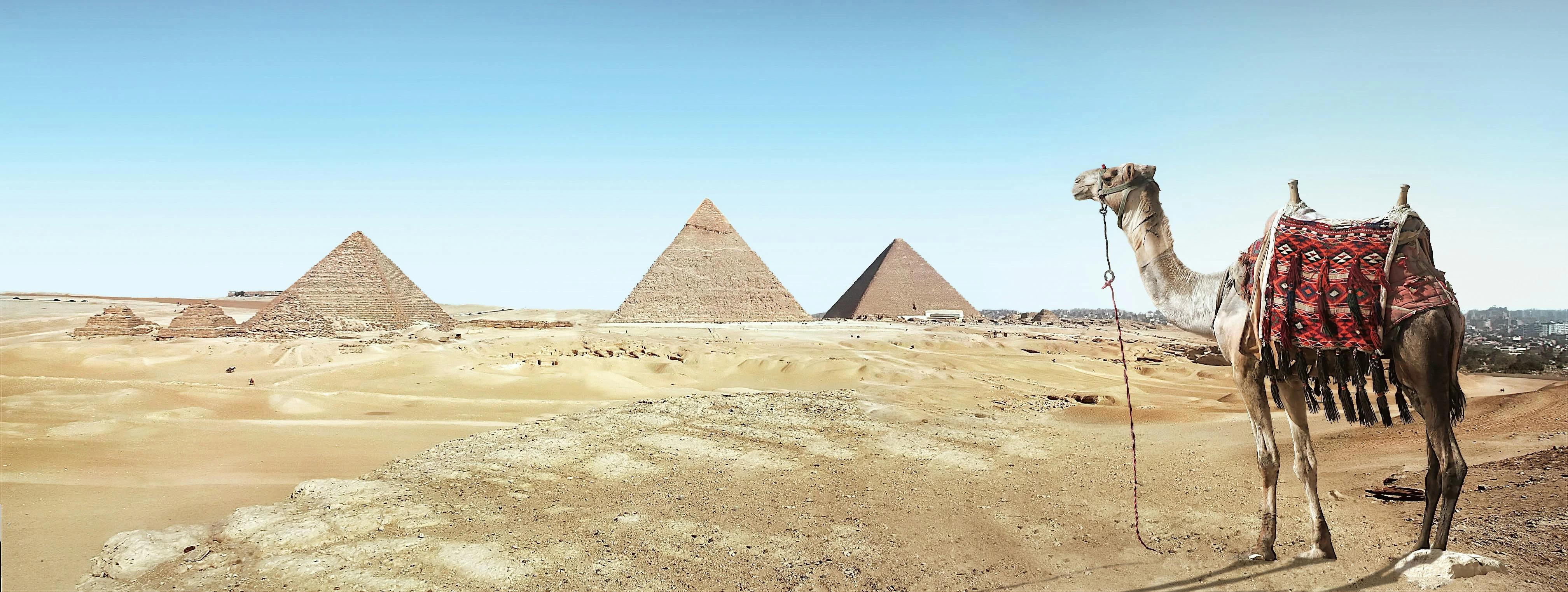Budget Giza Pyramids & Islamic Cairo Tour