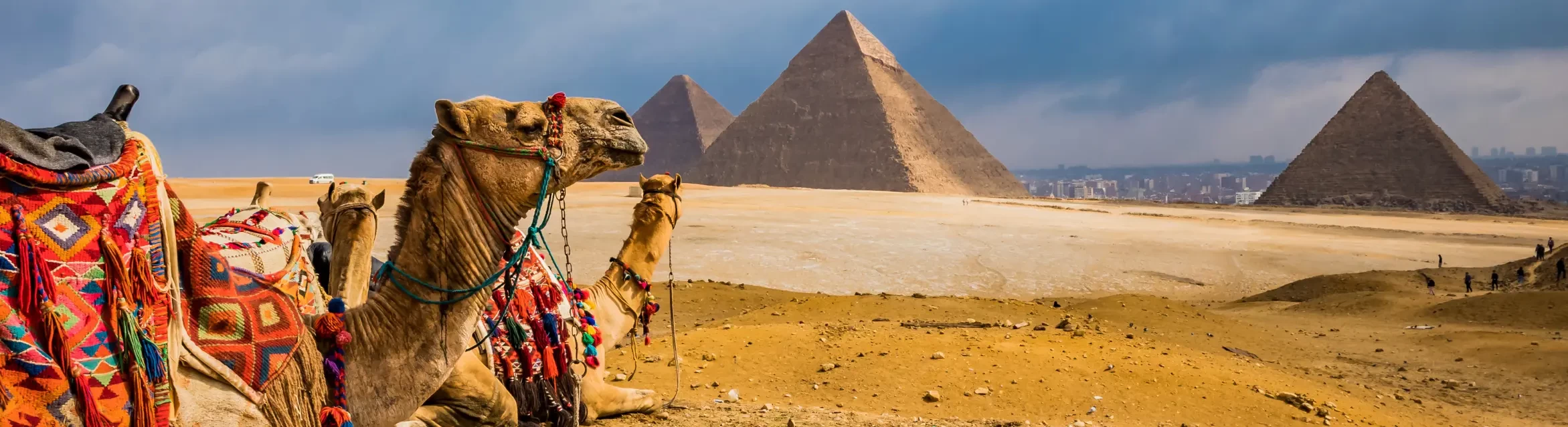 Day trip to Pyramids from Cairo | Cairo budget Dinner Nile cruise
