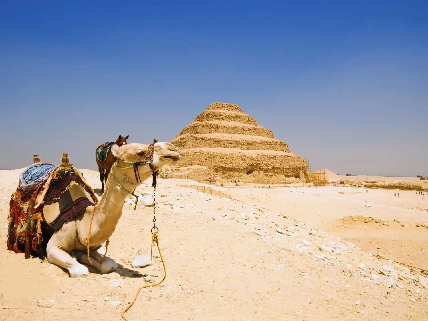 Budget Tour to Pyramids, Saqqara, and Memphis