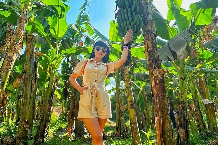 banana2