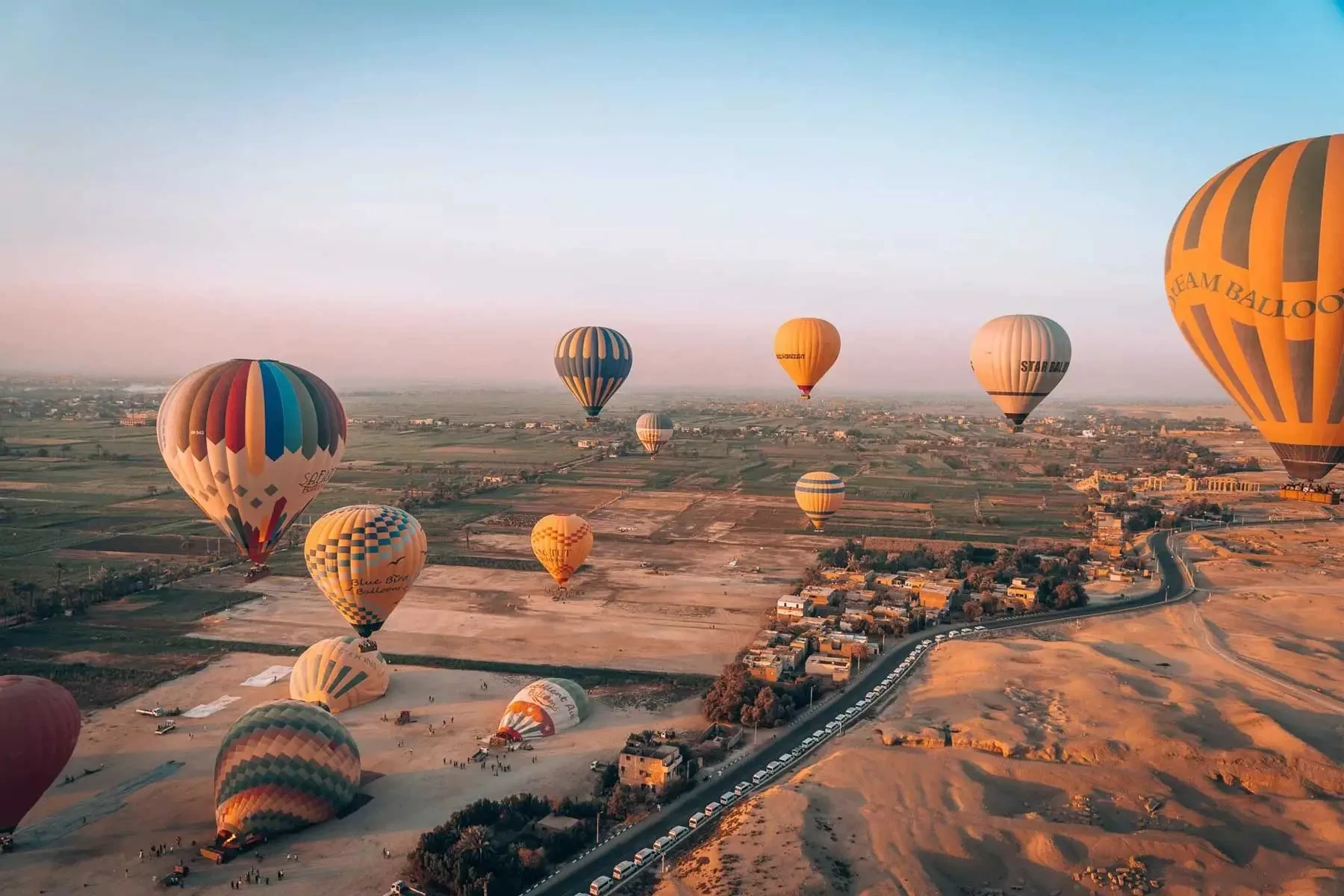 Hot Air Balloon in Luxor65546