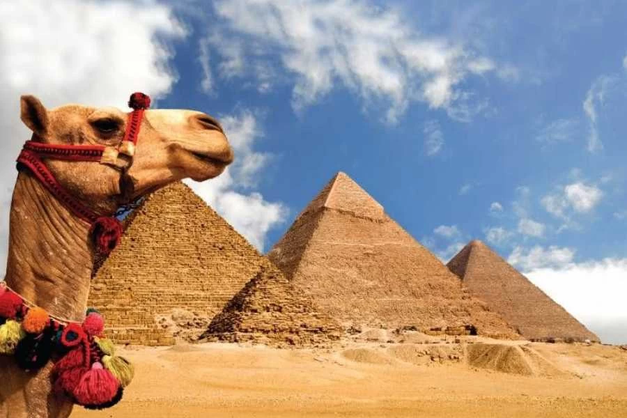 Day Tour to Giza Pyramids with Quad Bike, and Camel Ride