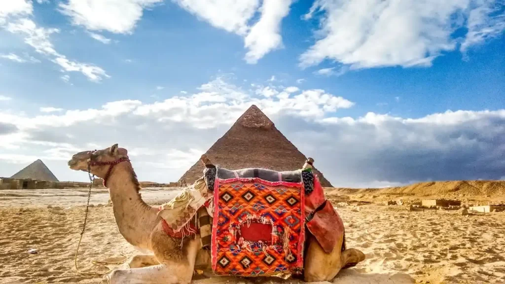 Pyramids Tour with Camel Ride 6