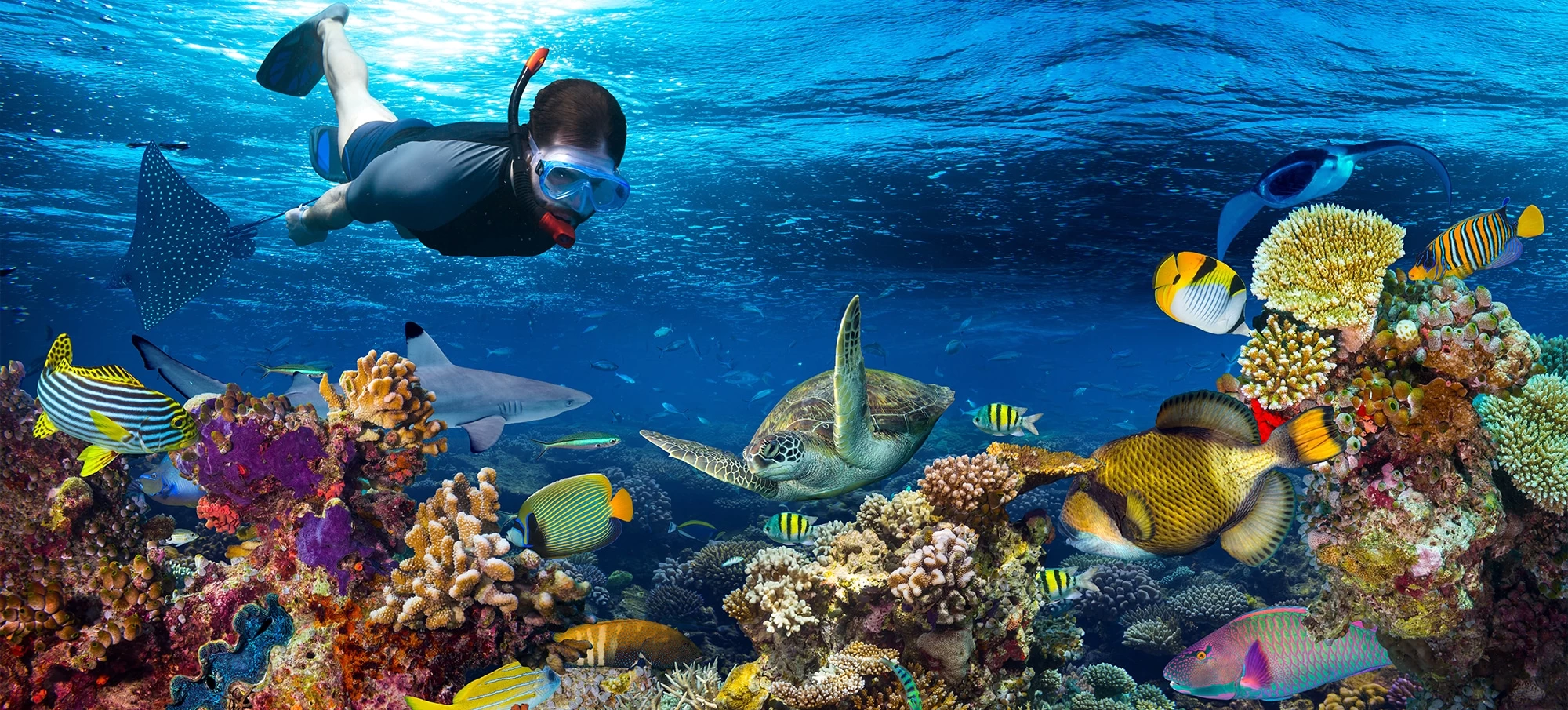 Snorkeling Trip to Ain Sokhna from Cairo