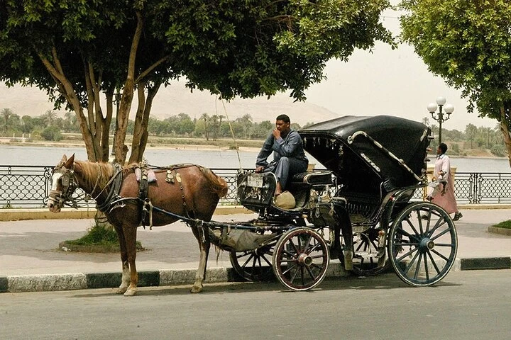 Luxor City Tour by Horse Carriage