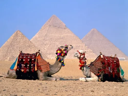544384372_giza4
