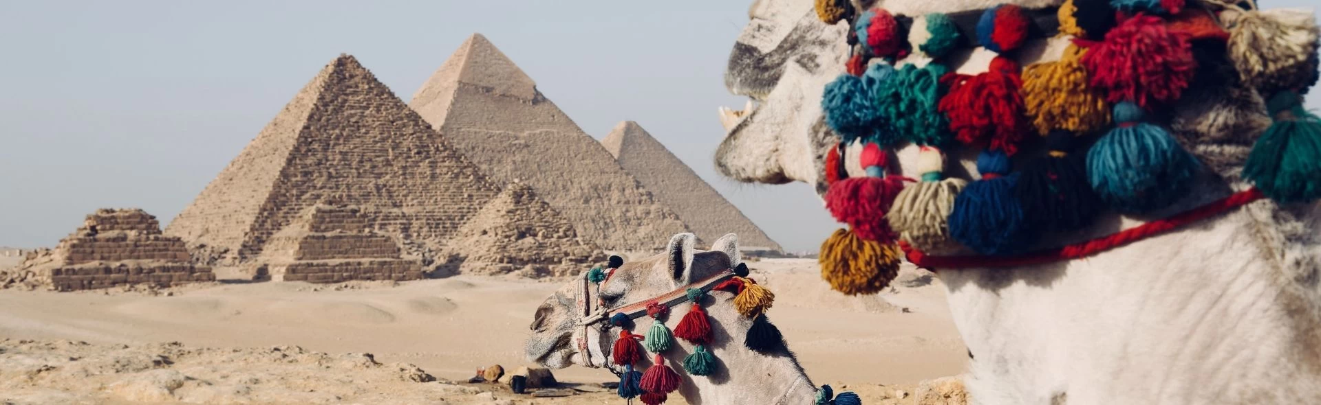 Day Tour to Cairo Attractions & Camel Ride from Sharm El Sheikh
