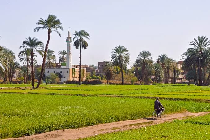 Egypt Countryside Trip