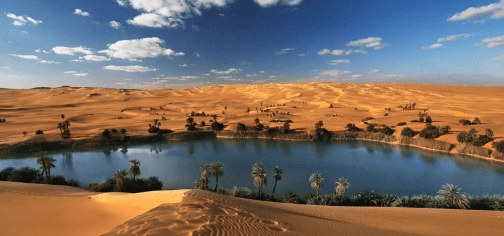Fayoum Oasis Tour From Cairo