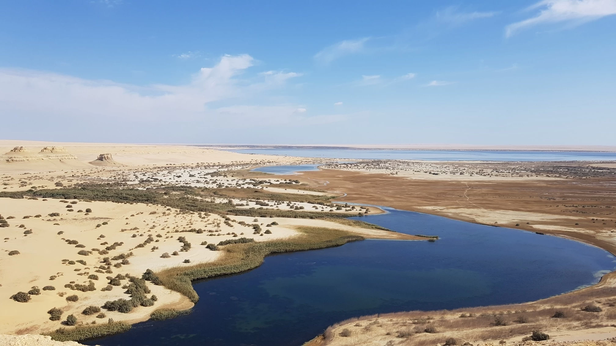 Fayoum Oasis Tour From Cairo