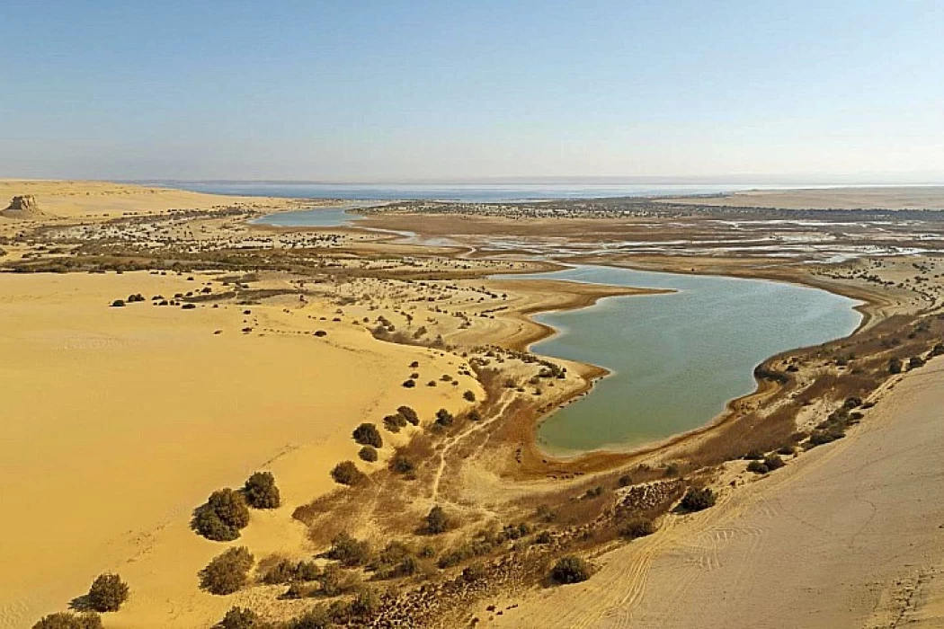Fayoum and overnight camping in Wadi El Hitan