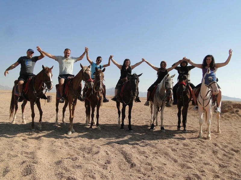 Horseback Riding in the Desert of Sharm El Sheikh