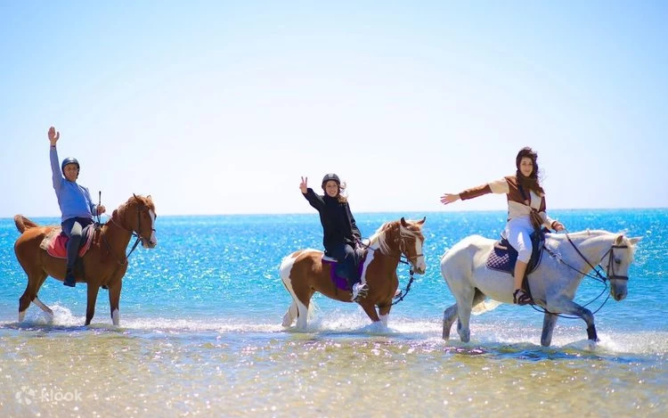 Horseback Riding in the Desert of Sharm El Sheikh