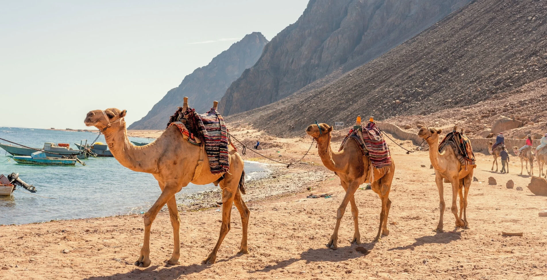 Quad Bike and Camel Safari in Sharm El Sheikh