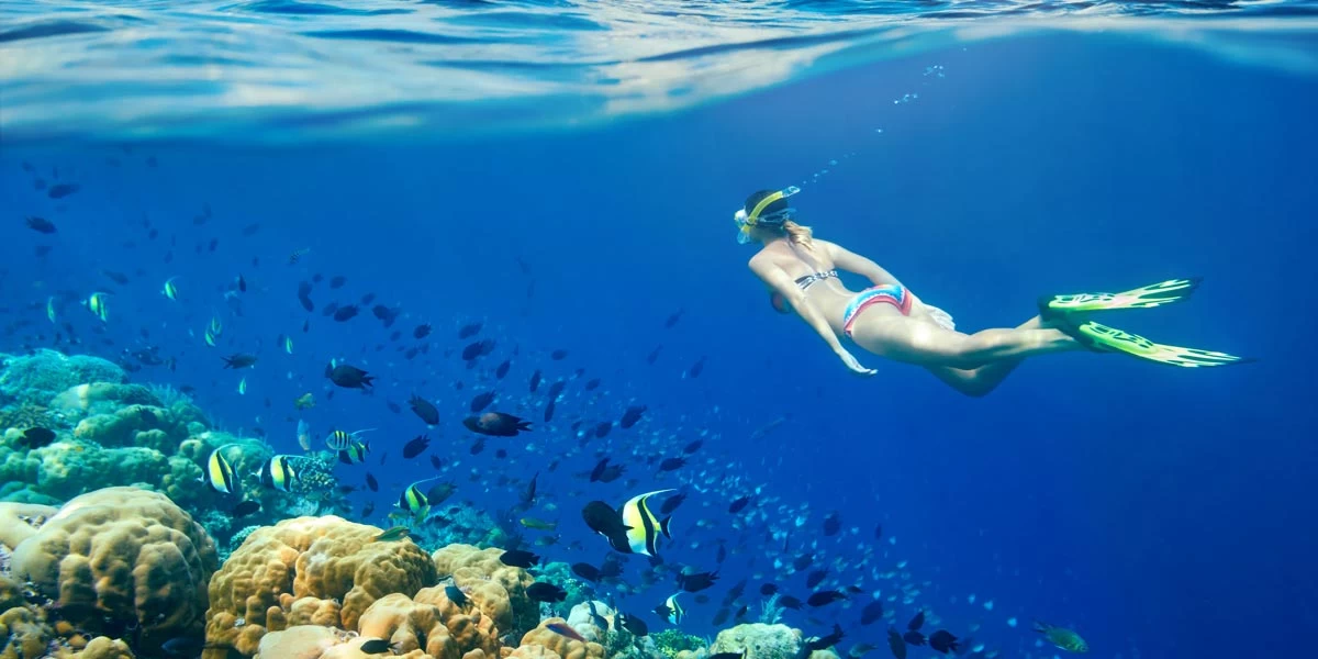 Tiran Island Snorkeling Trip from Sharm El Sheikh