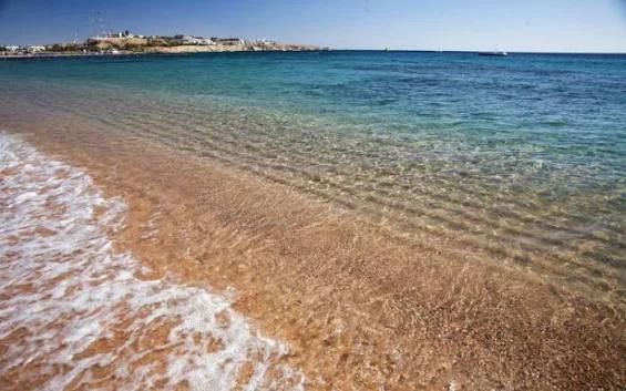 Shopping Tour to Soho Square, Naama Bay and Old Market