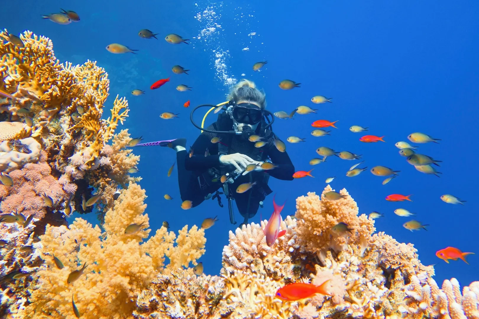 Diving sites in Hurghada, Egypt