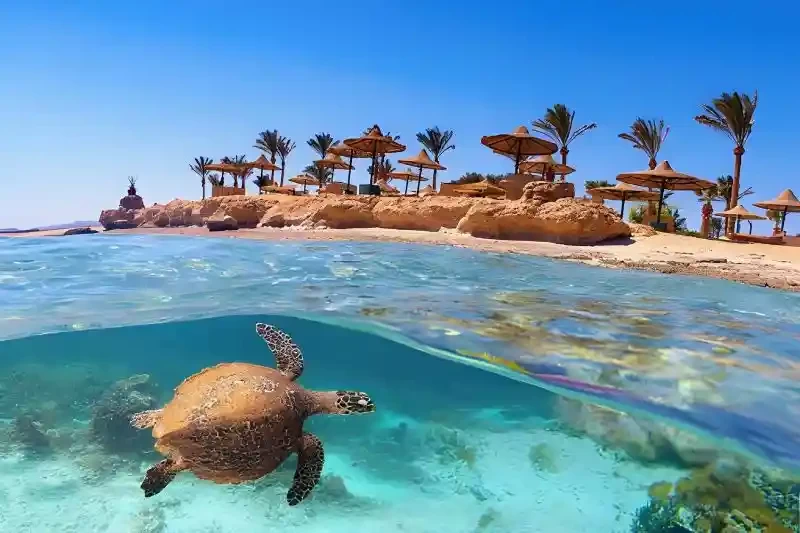 Marsa Alam Day Tours