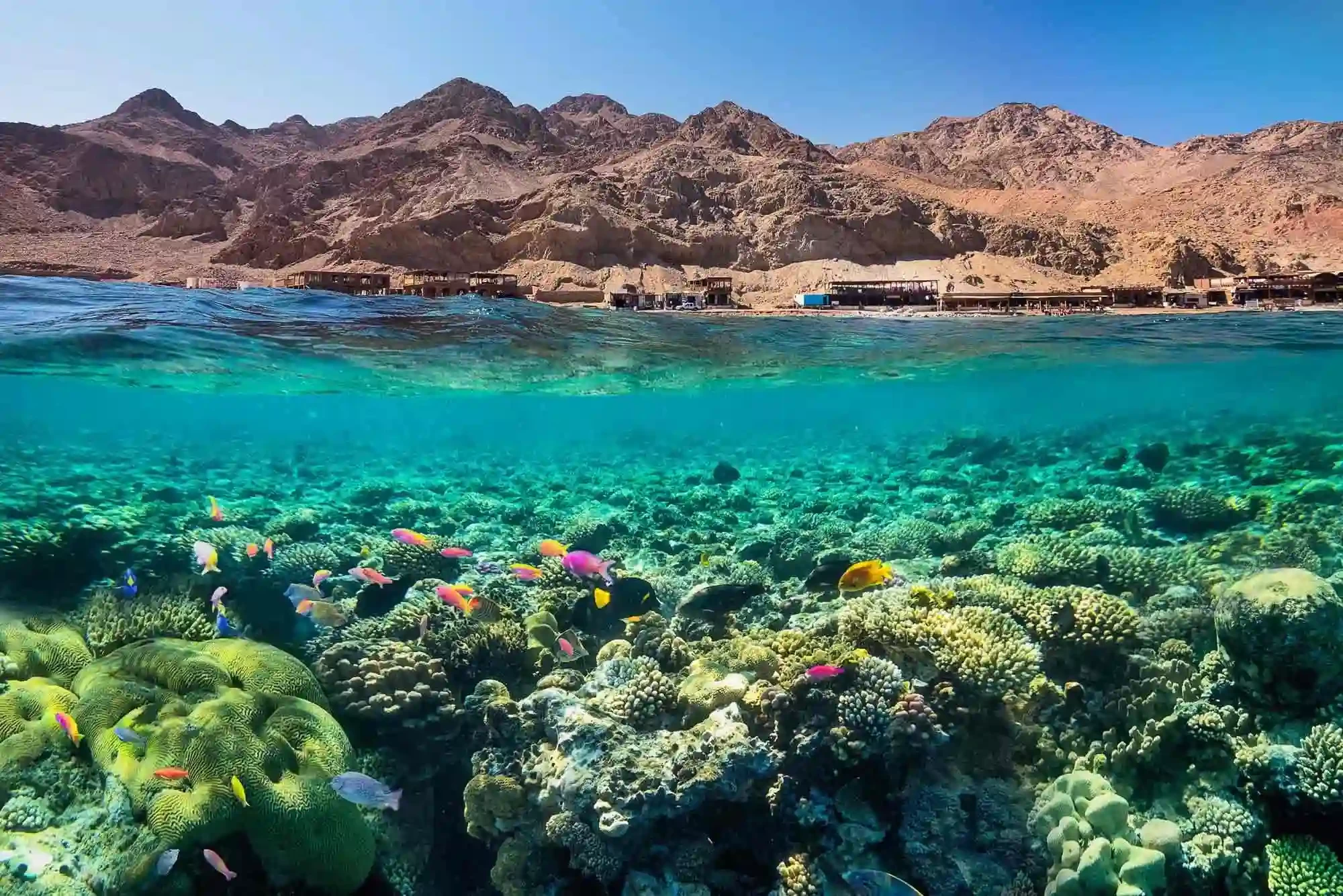 dahab1