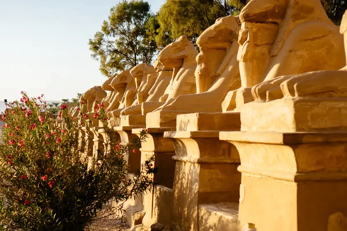Private Luxor East Bank Tour from Marsa Alam