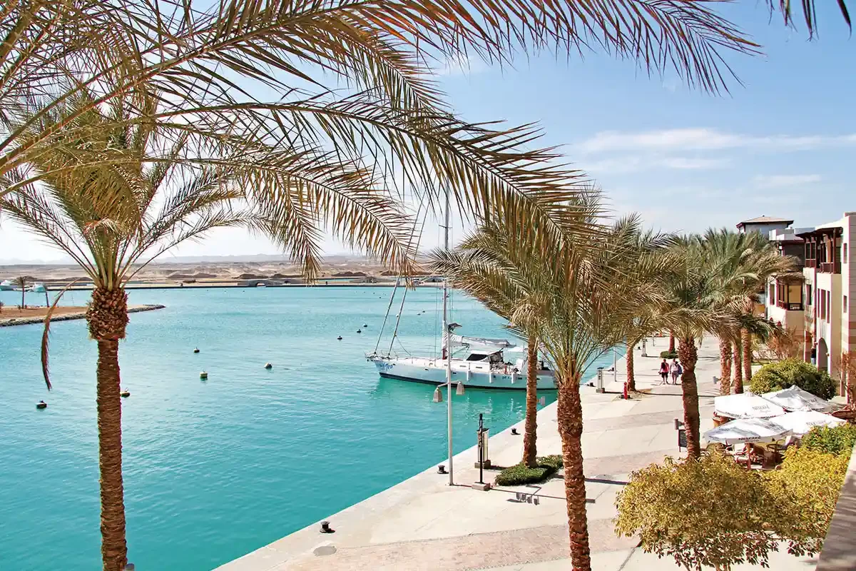 Snorkeling Trip at Port Ghalib from Marsa Alam