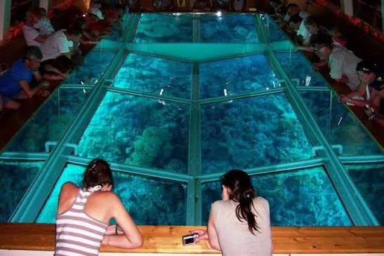 Glass Boat Trip in Sharm El Sheikh
