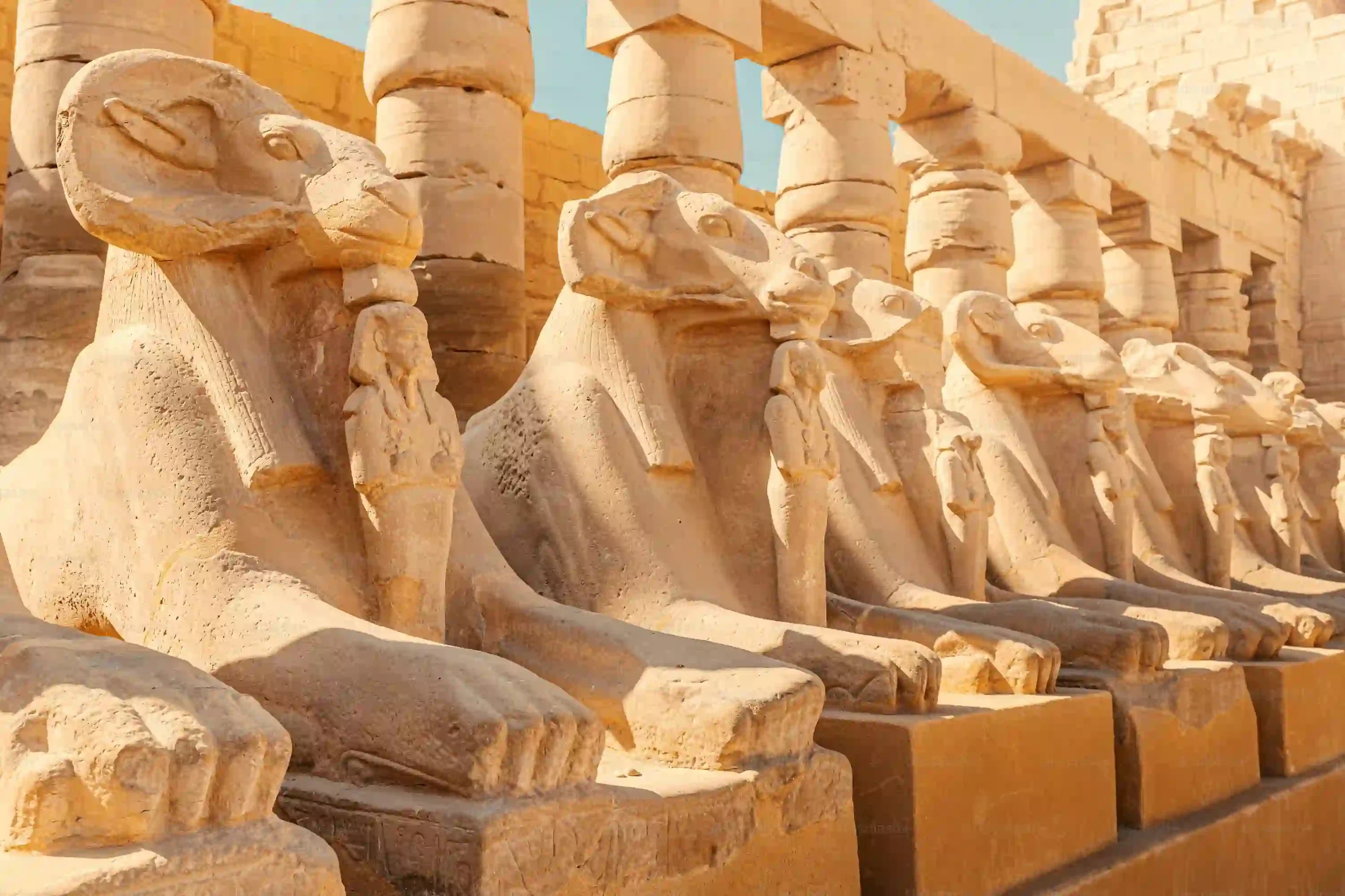 Day Tour to Luxor by Air from Sharm El Sheikh