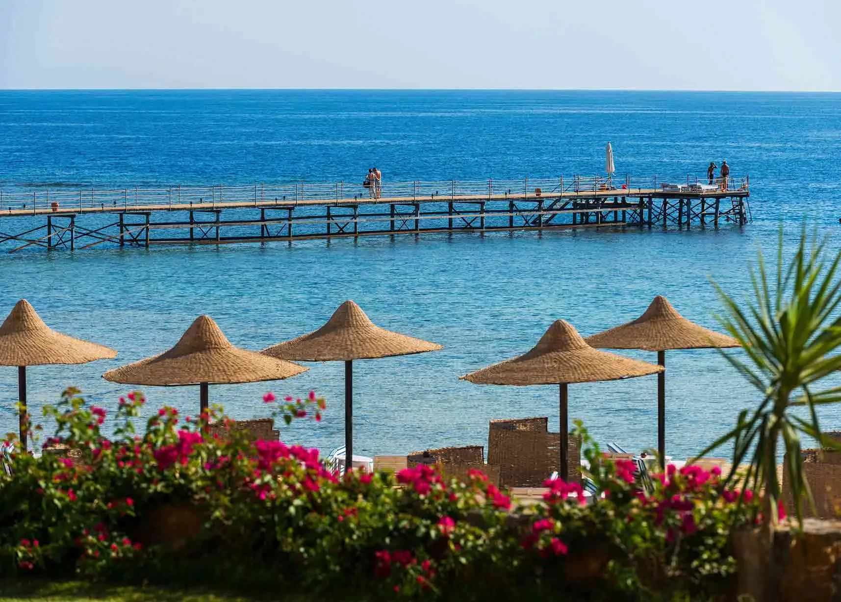 Explore Marsa Alam: Top Beaches, Diving & Things to Do